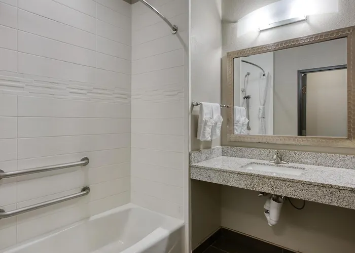 Best Western Plus Tech Medical Center Inn